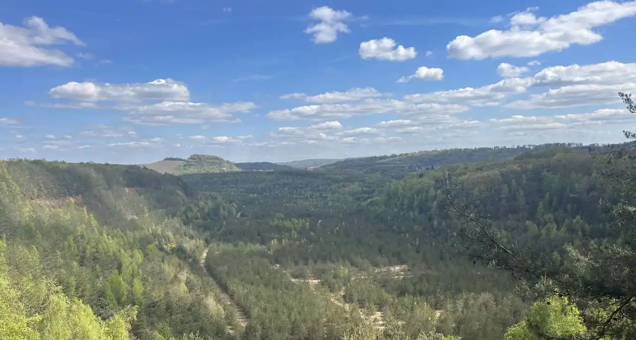 Forêt du Warndt en Moselle Est